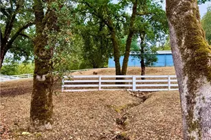 8451 Gibson Ln, Potter Valley, CA 95469 - Photo 6