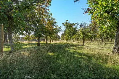 2427 Argonaut Road, Finley, CA 95453 - Photo 66