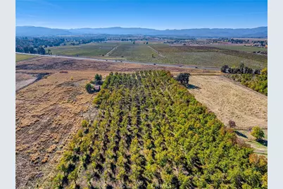 2427 Argonaut Road, Finley, CA 95453 - Photo 68