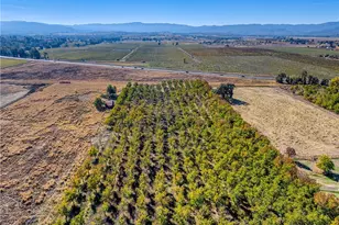 2427 Argonaut Rd, Finley, CA 95453 - Photo 68