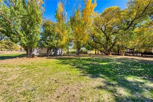 11694 Old Spruce Grove, Lower Lake, CA 95457 - Photo 12