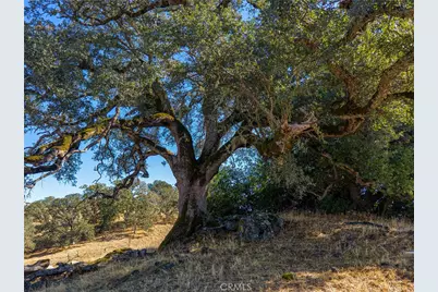 7761 Al Drive, Lucerne, CA 95443 - Photo 6