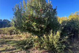 11255 Rancheria Rd, Upper Lake, CA 95485 - Photo 36