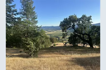 25996 String Creek Road, Willits, CA 95490 - Photo 2