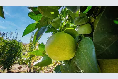 18413 Deer Hill Road, Hidden Valley Lake, CA 95467 - Photo 32