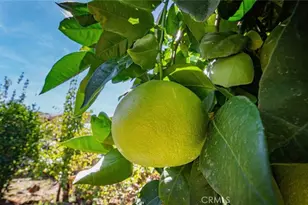 18413 Deer Hill Rd, Hidden Valley Lake, CA 95467 - Photo 32