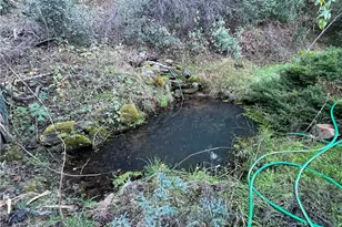 9400 McKinley, Kelseyville, CA 95451 - Photo 30