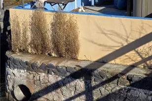 14101 Lakeshore, Clearlake, CA 95422 - Photo 8