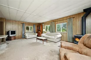 20110 Jerusalem Grade, Lower Lake, CA 95457 - Photo 4