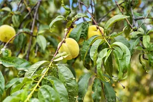 20110 Jerusalem Grade, Lower Lake, CA 95457 - Photo 26