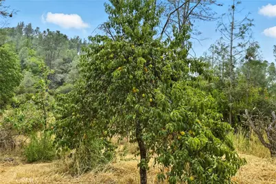 20110 Jerusalem Grade, Lower Lake, CA 95457 - Photo 28