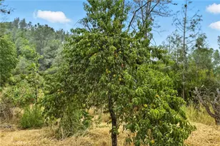 20110 Jerusalem Grade, Lower Lake, CA 95457 - Photo 28