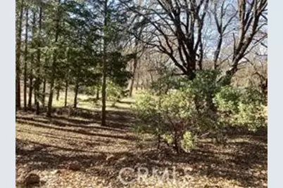 7672 Highway 29, Kelseyville, CA 95451 - Photo 4