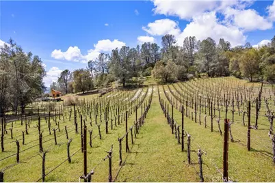 3520 Michelle Drive, Kelseyville, CA 95451 - Photo 66