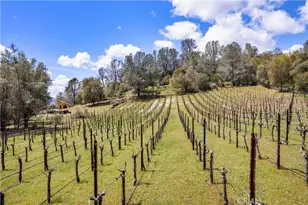 3520 Michelle Dr, Kelseyville, CA 95451 - Photo 66