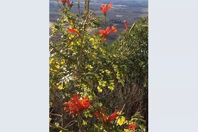 3520 Michelle Drive, Kelseyville, CA 95451 - Photo 60