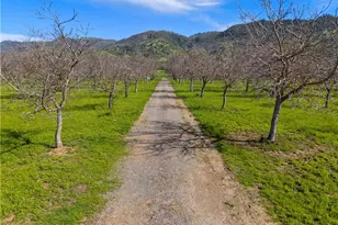 10950 Bachelor Valley Rd, Upper Lake, CA 95485 - Photo 20