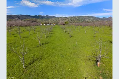 10950 Bachelor Valley Road, Upper Lake, CA 95485 - Photo 6