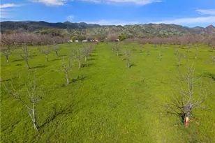 10950 Bachelor Valley Rd, Upper Lake, CA 95485 - Photo 6