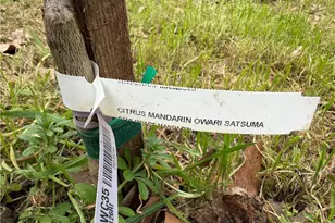 14707 Walnut Ave, Clearlake, CA 95422 - Photo 62