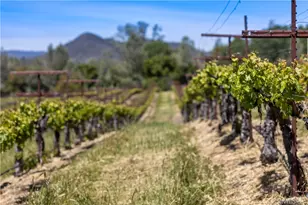 7875 Adobe Creek Rd, Kelseyville, CA 95451 - Photo 30