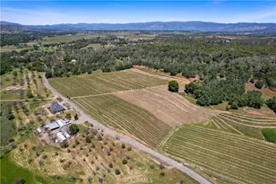 7875 Adobe Creek Rd, Kelseyville, CA 95451 - Photo 50