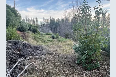 16709 Starview Loop, Cobb, CA 95426 - Photo 6