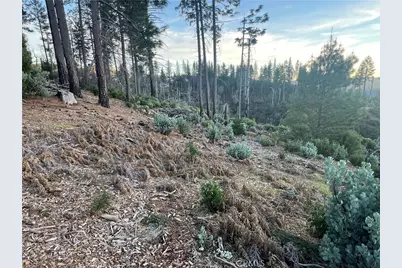 16749 Starview Loop Road, Cobb, CA 95426 - Photo 22