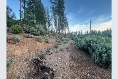 16749 Starview Loop Road, Cobb, CA 95426 - Photo 18