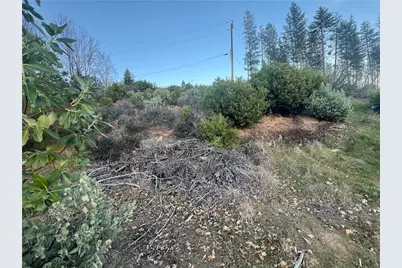 16749 Starview Loop Road, Cobb, CA 95426 - Photo 10