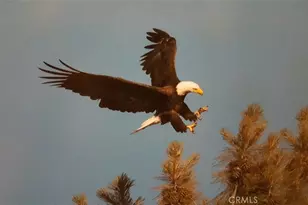 13449 Anderson Rd, Lower Lake, CA 95457 - Photo 4