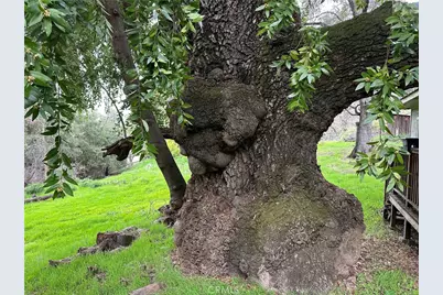 7004 E. Hwy 20, Lucerne, CA 95458 - Photo 2