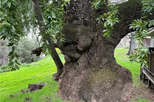 7004 E Hwy 20, Lucerne, CA 95458 - Photo 2