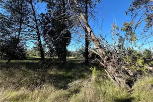 5235 Gaddy, Kelseyville, CA 95451 - Photo 44