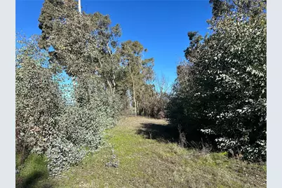 5235 Gaddy, Kelseyville, CA 95451 - Photo 48