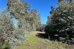 5235 Gaddy, Kelseyville, CA 95451 - Photo 48