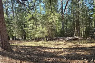 16303 Niblick, Cobb, CA 95426 - Photo 1