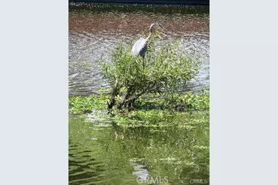 555 Keys Boulevard, Clearlake Oaks, CA 95423 - Photo 4