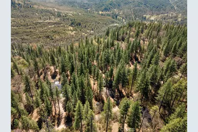 8207 Harrington Flat, Kelseyville, CA 95451 - Photo 48