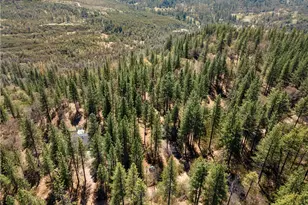 8207 Harrington Flat, Kelseyville, CA 95451 - Photo 48