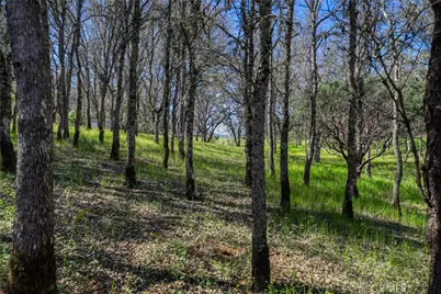 1001 Louis Way, Lakeport, CA 95453 - Photo 52