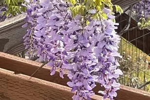 9591 Lassen Dr, Cobb, CA 95426 - Photo 44