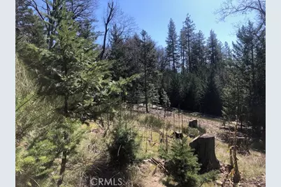 8713 Fox, Cobb, CA 95426 - Photo 10