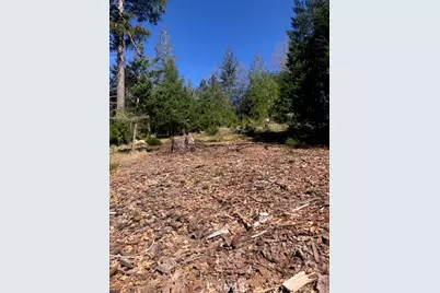 8713 Fox, Cobb, CA 95426 - Photo 6