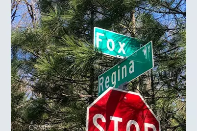 8713 Fox, Cobb, CA 95426 - Photo 16