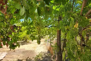 3950 Emile Ave, Clearlake, CA 95422 - Photo 22