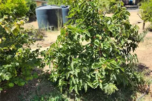 3950 Emile Ave, Clearlake, CA 95422 - Photo 26