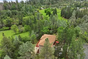 14000 Nelson Ln, Cobb, CA 95426 - Photo 4