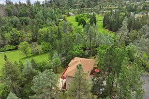 14000 Nelson Ln, Cobb, CA 95426 - Photo 4