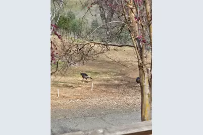 18683 Morgan Valley Road, Lower Lake, CA 95457 - Photo 32